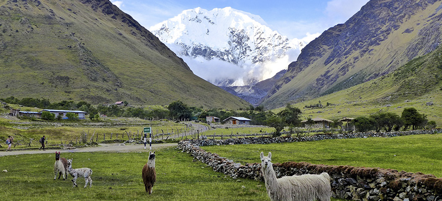 soraypampa campamento de salkantay